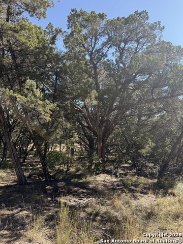 Image 11 of 11 For Avalon F Lots 13-18