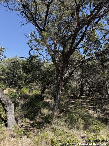 Image 9 of 11 For Avalon F Lots 13-18