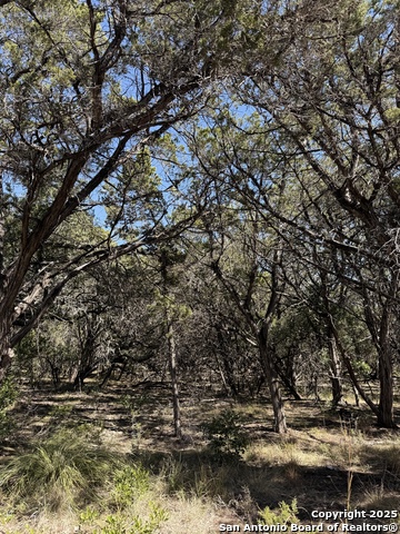 Image 10 of 11 For Avalon F Lots 1-6