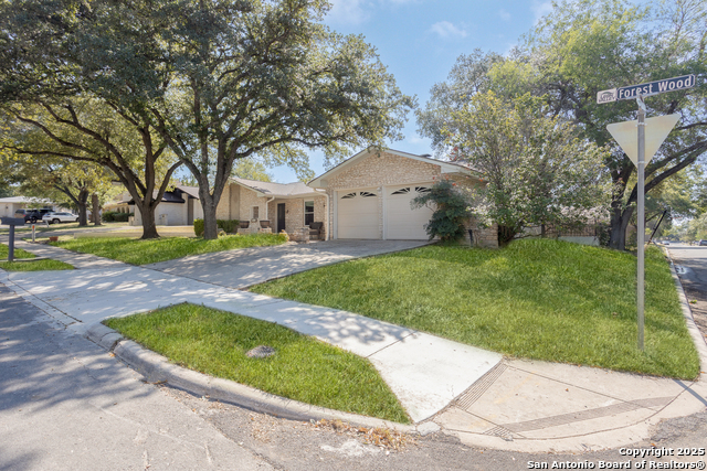 Image 3 of 32 For 6114 Forest Wood