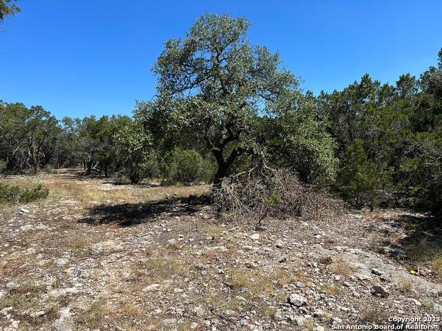 Image 10 of 33 For 235 Cambridge Rd W