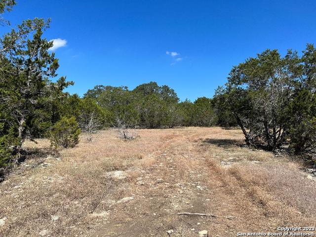 Image 11 of 33 For 235 Cambridge Rd W