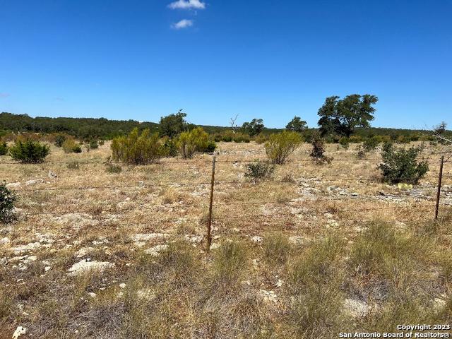 Image 12 of 33 For 235 Cambridge Rd W