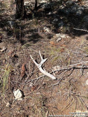 Image 14 of 33 For 235 Cambridge Rd W