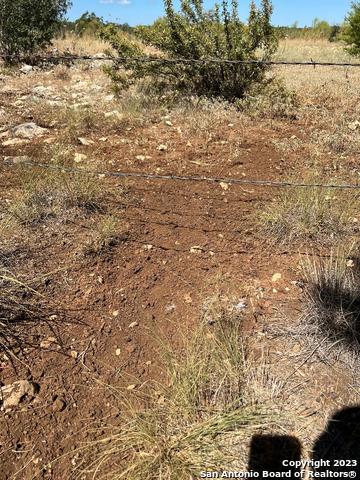 Image 15 of 33 For 235 Cambridge Rd W