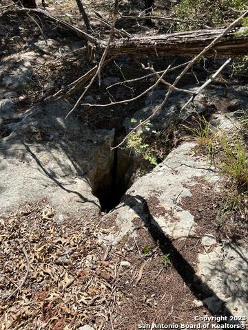 Image 16 of 33 For 235 Cambridge Rd W