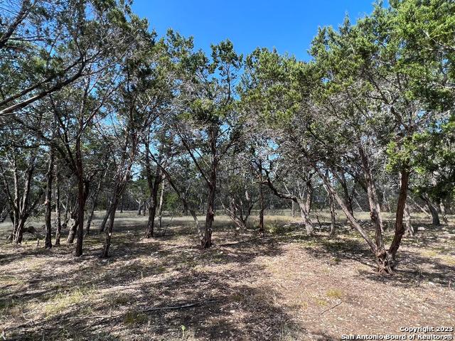 Image 19 of 33 For 235 Cambridge Rd W