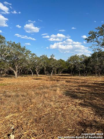 Image 20 of 33 For 235 Cambridge Rd W