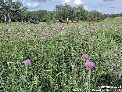 Image 21 of 33 For 235 Cambridge Rd W