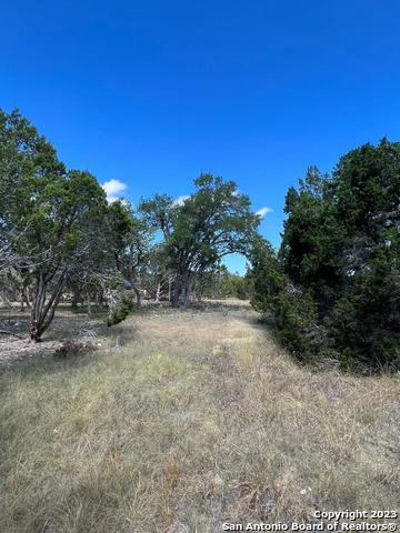 Image 24 of 33 For 235 Cambridge Rd W