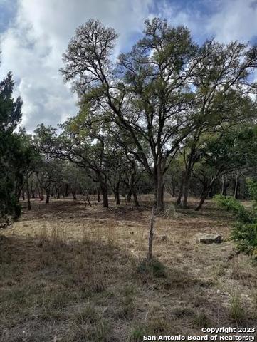 Image 27 of 33 For 235 Cambridge Rd W