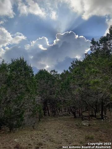 Image 28 of 33 For 235 Cambridge Rd W