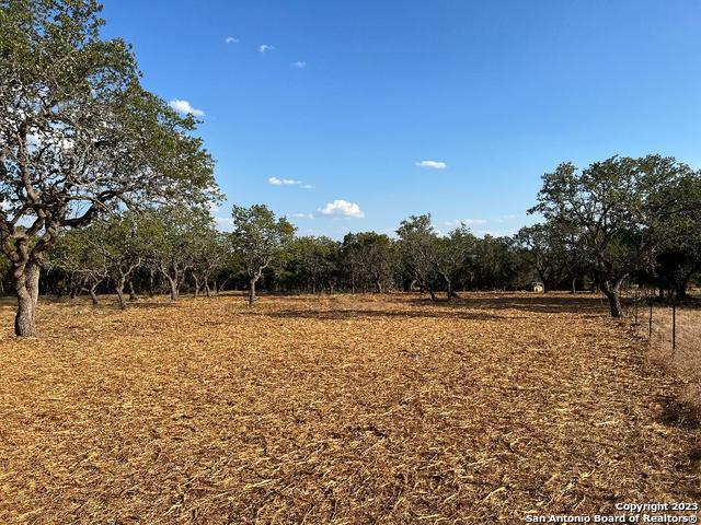 Image 3 of 33 For 235 Cambridge Rd W