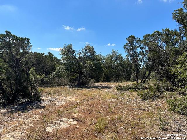 Image 4 of 33 For 235 Cambridge Rd W