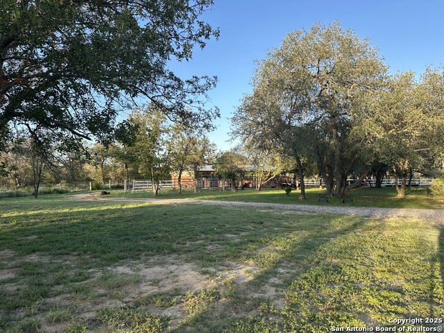 Image 14 of 23 For 224 County Road 789