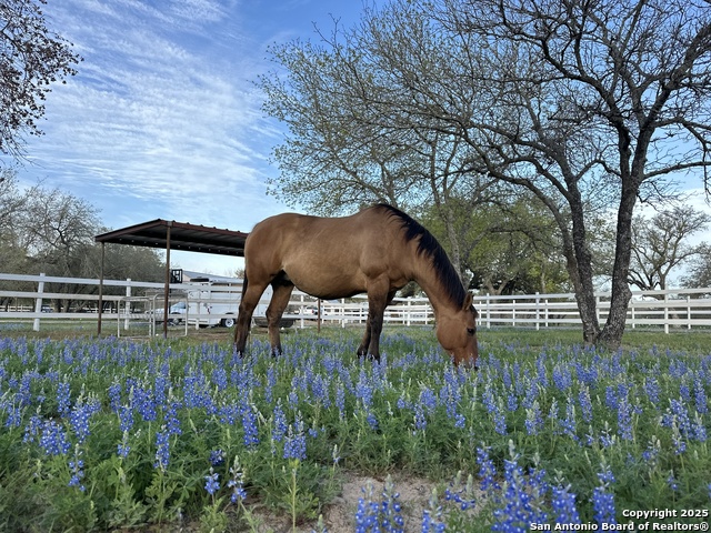 Image 21 of 23 For 224 County Road 789