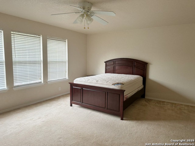 Image 13 of 24 For 115 Adelaide Oaks