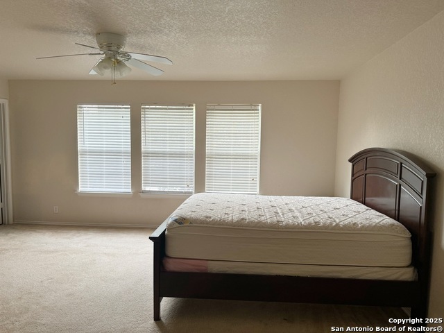 Image 15 of 24 For 115 Adelaide Oaks