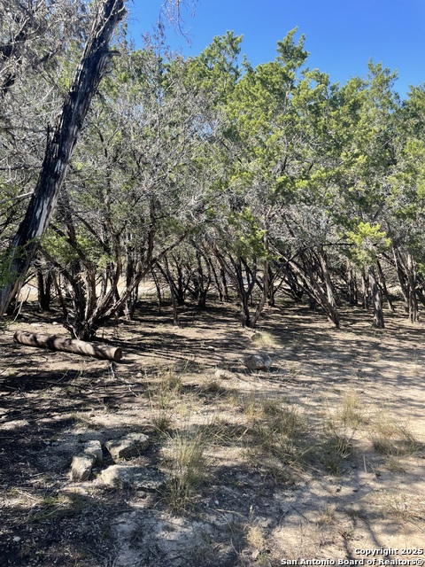 Image 17 of 17 For 342 Park