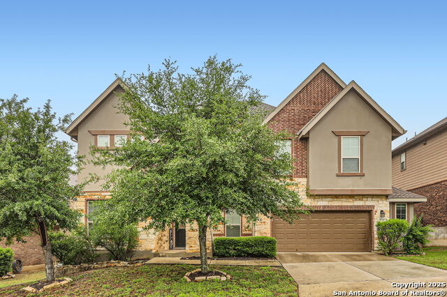 Details for 3814 Sweet Olive, San Antonio, TX 78261