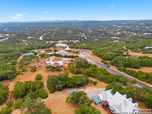 Image 12 of 16 For 0 Lipizzan