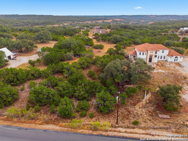 Image 2 of 16 For 0 Lipizzan