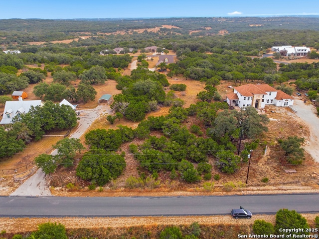 Image 3 of 16 For 0 Lipizzan