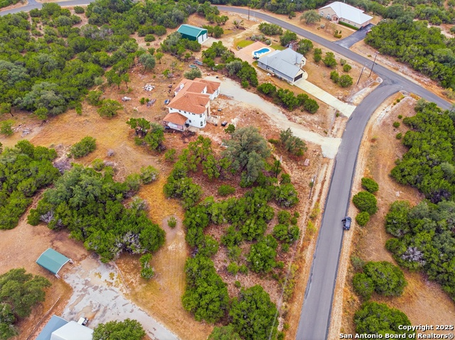 Image 5 of 16 For 0 Lipizzan