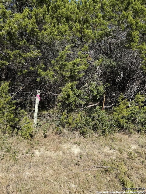 Image 2 of 4 For (lt) 396 Forest Trail Drive