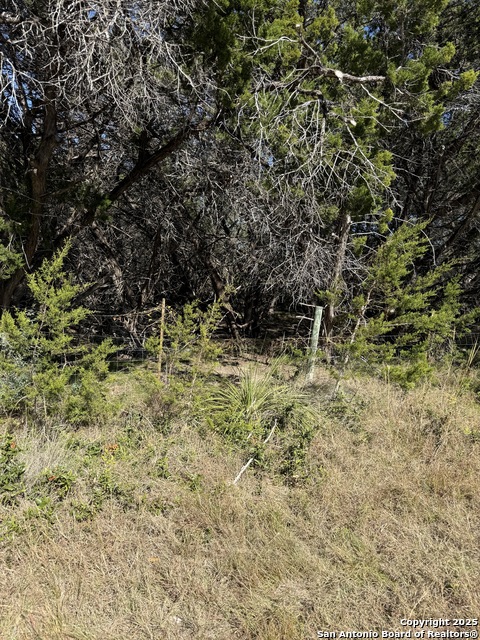 Image 4 of 4 For (lt) 396 Forest Trail Drive