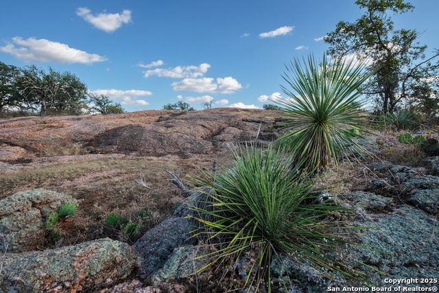 Details for Tbd Blackjack Rd, Mason, TX 76842