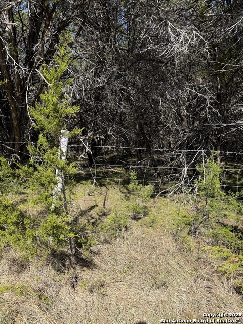 Image 2 of 4 For (lt) 395 Forest Trail Drive