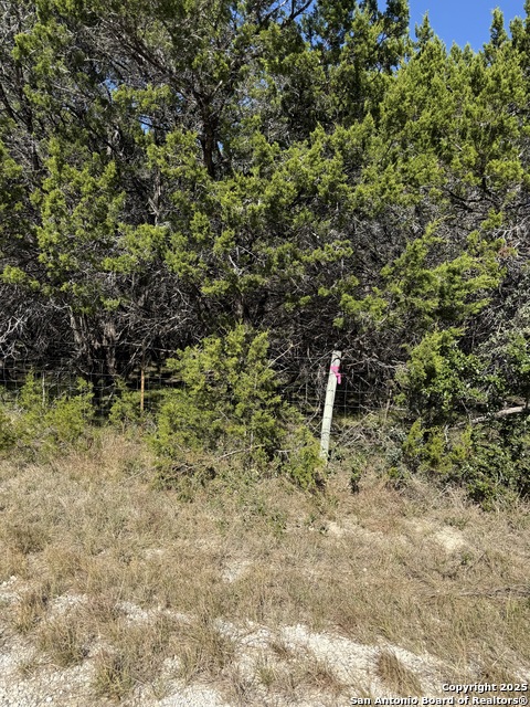 Image 3 of 4 For (lt) 395 Forest Trail Drive