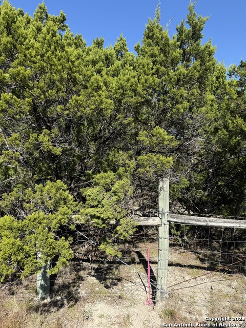 Image 3 of 5 For Lt 391 Forest Trail Drive