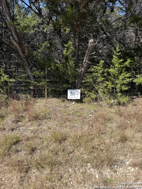 Details for (lt)394 Forest Trail Drive, Bandera, TX 78003