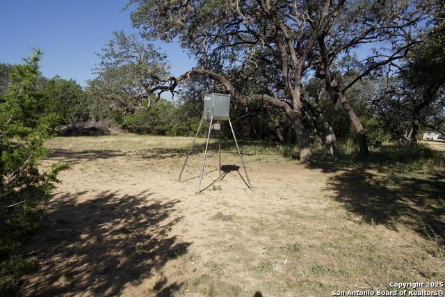 Image 39 of 51 For 2215 County Road 389