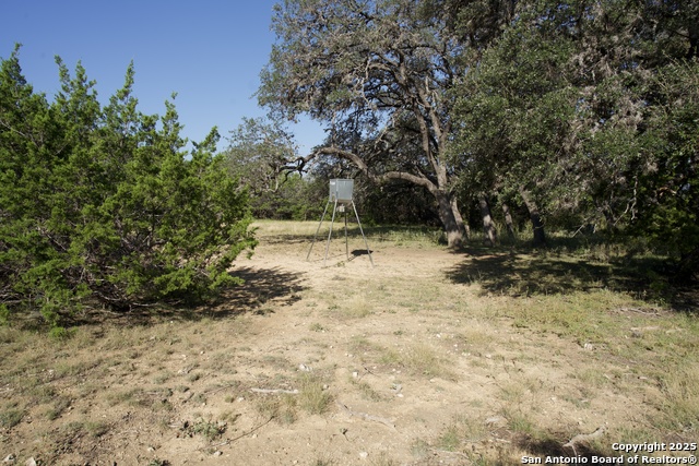 Image 41 of 51 For 2215 County Road 389