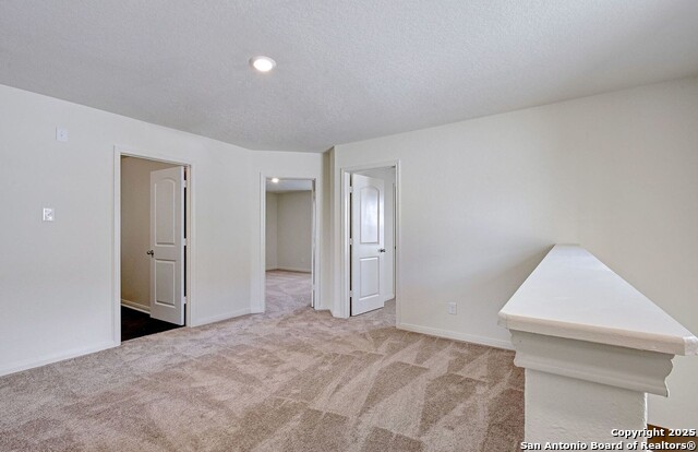 Image 10 of 25 For 4184 Duck  