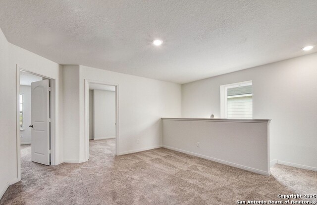 Image 11 of 25 For 4184 Duck  