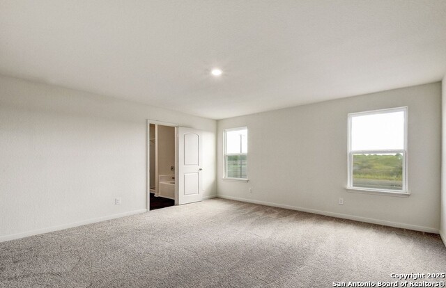 Image 13 of 25 For 4184 Duck  