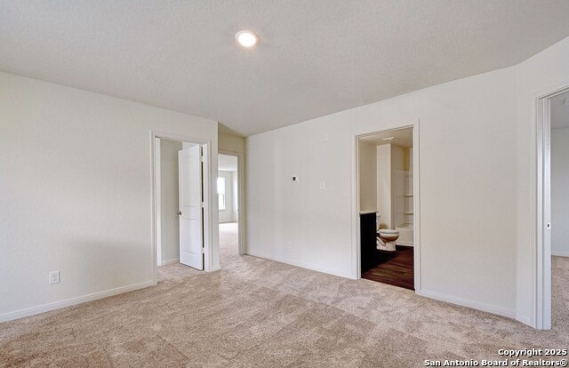 Image 16 of 25 For 4184 Duck  