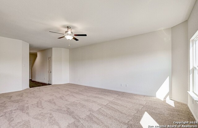 Image 17 of 25 For 4184 Duck  