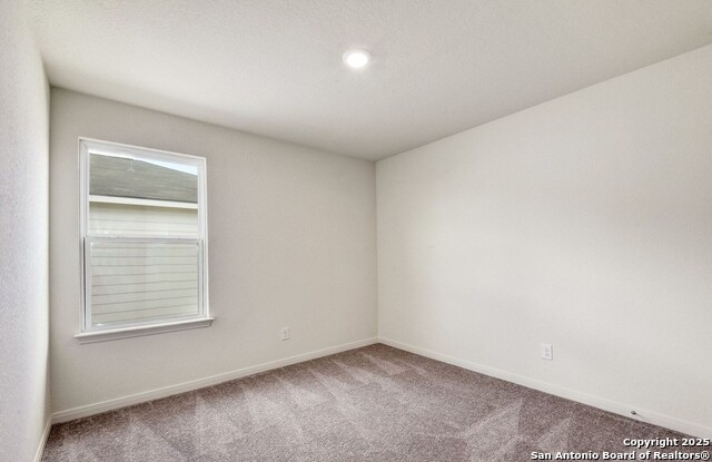 Image 21 of 25 For 4184 Duck  