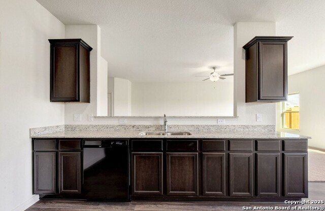 Image 6 of 25 For 4184 Duck  