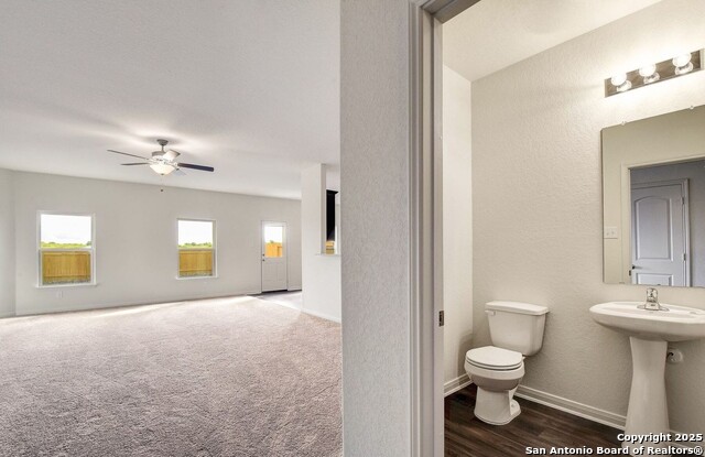 Image 8 of 25 For 4184 Duck  