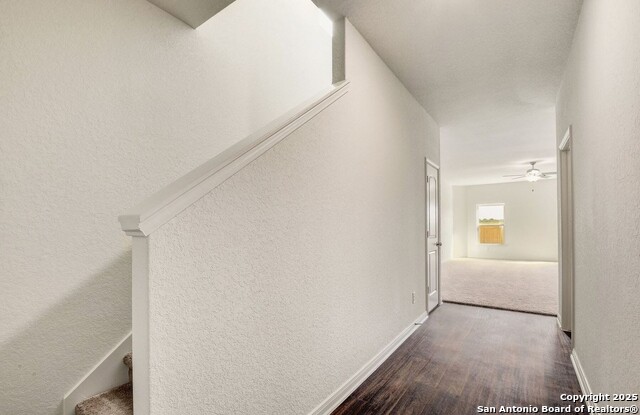 Image 9 of 25 For 4184 Duck  