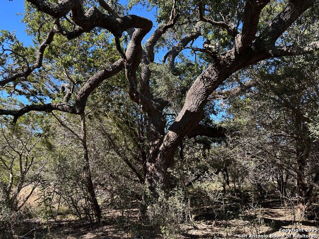 Listing photo id 12 for 149 Tablerock Ridge