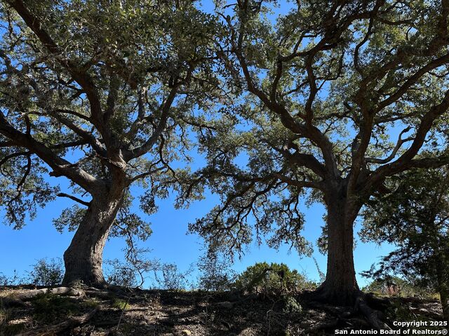 Listing photo id 3 for 149 Tablerock Ridge