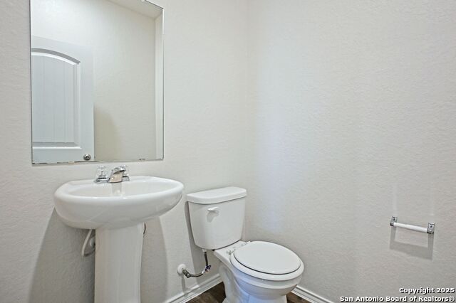 Image 12 of 45 For 884 Armadillo