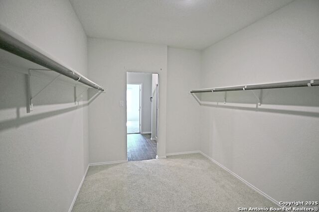 Image 21 of 45 For 884 Armadillo